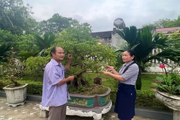 Xã Hoằng Ngọc lan tỏa mô hình “nhà sạch - vườn đẹp”