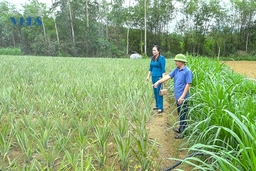Ngọc Lặc phát triển kinh tế trang trại