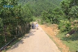 Về “làng cổ” Tân Hùng