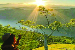 Những sớm mai yên bình