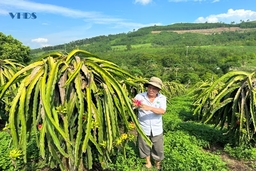 Ông Phan Văn Vinh
