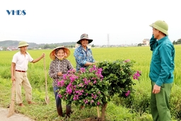 Cùng nhau kiến tạo “miền quê đáng sống” Quảng Trường