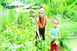 Học sinh nghèo và năm học mới