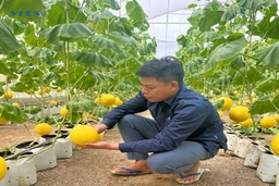 Chàng trai 9X vượt khó vươn lên làm giàu
