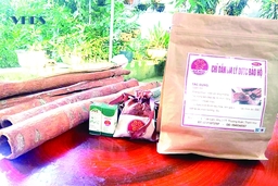 Bảo tồn và phát triển cây Quế Ngọc Thường Xuân
