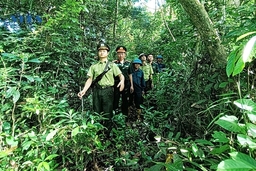 Bảo vệ rừng khu vực giáp ranh Thanh Hóa - Nghệ An