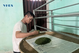 Tháo gỡ khó khăn cho nghề ươm tơ dệt nhiễu Hồng Đô