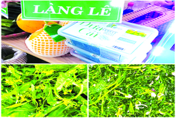 Làng Lê Xá và giống cải Lê nức tiếng