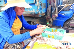 Chuyện của những phụ nữ vùng biển: Về Ngư  Lộc