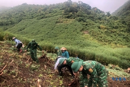 Nhà máy chế biến tinh bột sắn Phúc Thịnh vào vụ sản xuất