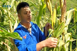 Bản lĩnh để thoát nghèo
