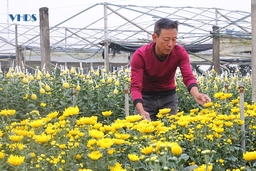 Lan tỏa phong trào nông dân thi đua sản xuất, kinh doanh giỏi