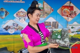 Ấn tượng không gian trưng bày các sản phẩm nông nghiệp, làng nghề tại Tuần Văn hóa, Du lịch Điện Biên - Thanh Hóa