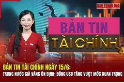 Bản tin Tài chính ngày 15/6: Trong nước giá vàng ổn định; đồng USD tăng vượt mốc quan trọng 