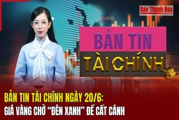 Bản tin Tài chính ngày 20/6: Giá vàng chờ “đèn xanh” để cất cánh