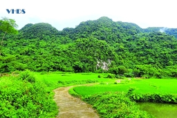 Đánh thức tiềm năng du lịch ở thôn Thung