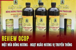 [REVIEW OCOP] Mật mía Đồng Hương - Ngọt ngào hương vị truyền thống