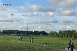 Bay cao những cánh diều