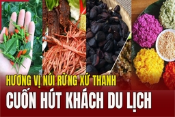 Hương vị núi rừng xứ Thanh cuốn hút khách du lịch