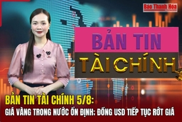 Bản tin Tài chính 5/8: Giá vàng trong nước ổn định; Đồng USD tiếp tục rớt giá