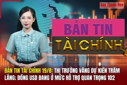 Bản tin Tài chính 19/8: Thị trường vàng dự kiến trầm lắng; Đồng USD đang ở mức hỗ trợ quan trọng 102