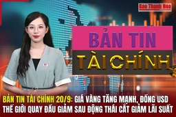 Bản tin Tài chính 20/9: Giá vàng tăng mạnh, đồng USD thế giới quay đầu giảm sau động thái cắt giảm lãi suất