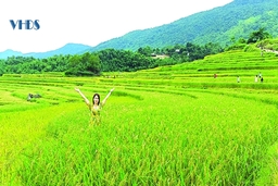 Trải nghiệm “xanh” ở xứ Thanh