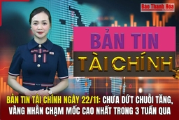 Bản tin Tài chính 22/11: Chưa dứt chuỗi tăng, vàng nhẫn chạm mốc cao nhất trong 3 tuần qua