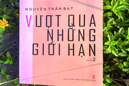 Vượt qua những giới hạn - Tâm tư của người nặng lòng với quốc gia