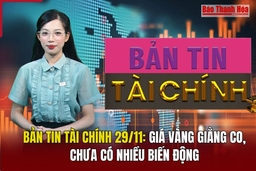 Bản tin Tài chính 29/11: Giá vàng giằng co, chưa có nhiều biến động