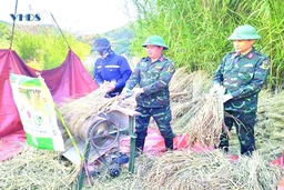 Sức vươn ở Piềng Tặt