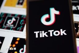 Điều gì sẽ xảy ra với ứng dụng video ngắn TikTok nếu bị cấm?