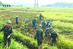 “Ðâu cần bộ đội có, đâu khó có bộ đội”: Thắm đượm nghĩa tình quân dân