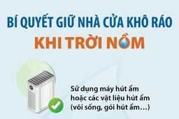 Bí quyết giữ nhà cửa khô ráo khi trời nồm ẩm