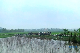 Bãi rác nơi đồng ruộng