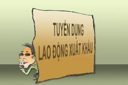Đừng để “giấc mơ đổi đời” biến thành cơn mộng!