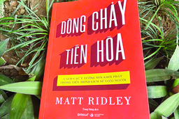 Tiến hóa diễn ra xung quanh chúng ta