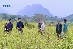 Để chương trình giảm nghèo không còn là những con số