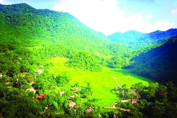 “Điểm hẹn” ngày hè (Bài 2): Lên ngàn... “trốn”  nắng