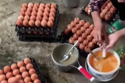 Chủ tịch Hội Chăn nuôi Việt Nam: Làm giả trứng gà giống trứng thật là điều không thể