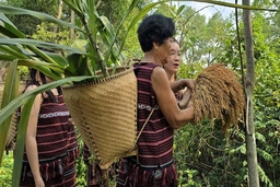 Công bố thêm 11 di sản văn hóa phi vật thể Quốc gia