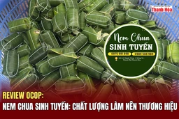 [REVIEW OCOP] Nem chua Sinh Tuyến: Chất lượng làm nên thương hiệu