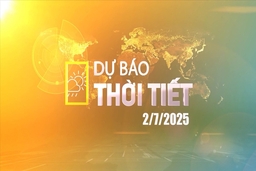 Dự báo thời tiết 19h ngày 2/7/2025