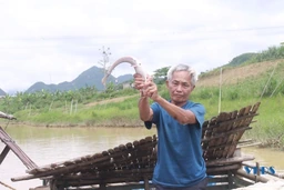 Lặng lẽ Thủy Long