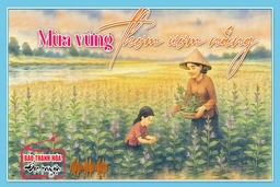 [Podcast] Tản văn: Mùa vừng thơm ươm nắng