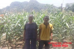 Có những mối tình như thế...