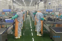 Nâng tầm giá trị thủy sản Sầm Sơn