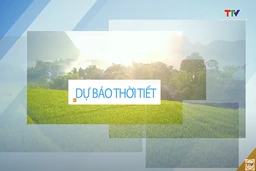 Dự báo thời tiết đêm 29 ngày 30/7/2025