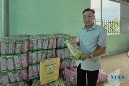 Người nâng tầm miến gạo Thăng Long với khao khát đưa sản phẩm “xuất ngoại”