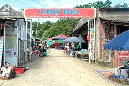 Nỗi niềm chợ truyền thống